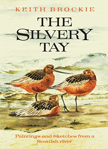 The silvery tay paintings - the,