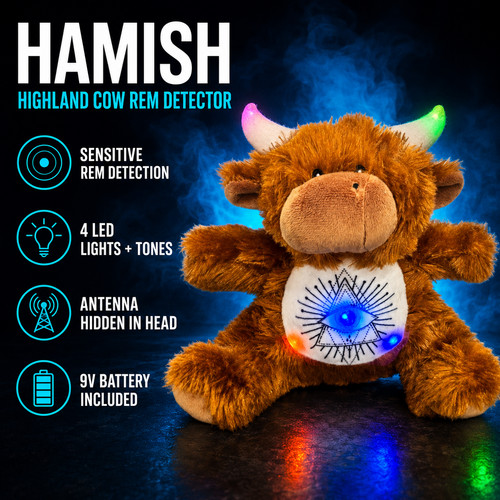 Rem bear toy sensor teddy