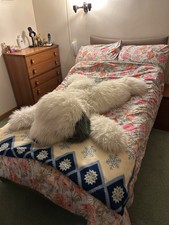 Electric Adjustable 4ft Bed