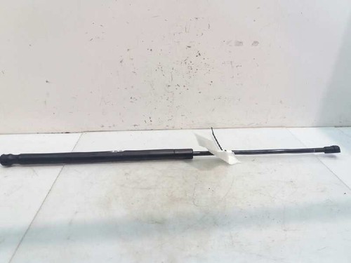 Tailgate gas strut for - tailgate,