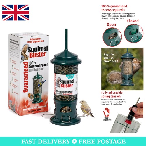 Squirrel proof hanging bird - proof,