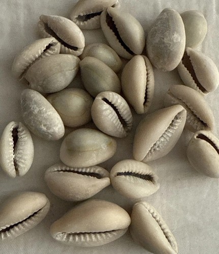 Original natural cowries owo - natural,