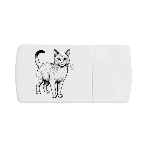 Australian mist cat - mist, pill