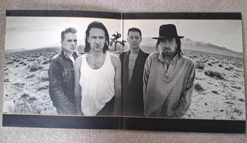 The joshua tree - tree,