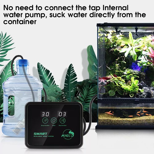 Electronic reptile rainforest - electronic,