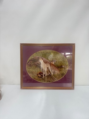 Vintage framed cheetah - vintage,
