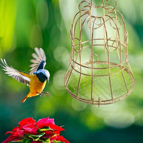 Gold hanging metal - hanging, feeder