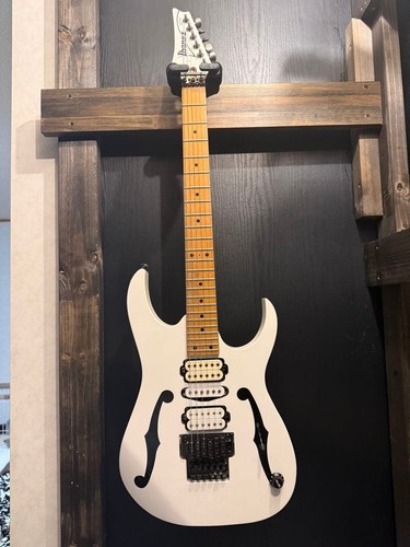 Ibanez pgm300 fujigen - fujigen, safe