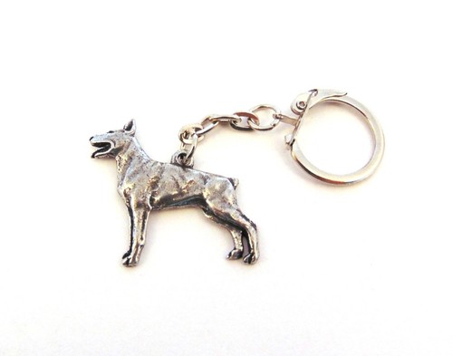 Doberman pinscher pewter - pinscher,