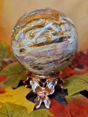 Beautiful petrified wood - beautiful,
