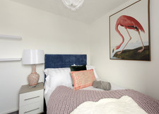 HUGE HOUSE CLEARANCE SALE -