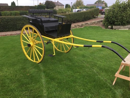 Horse cart exercise - cart,,