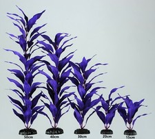 Aquarium fish tank plant - fish,