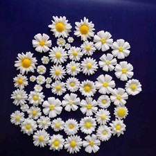40 White Daisies Cup Cake