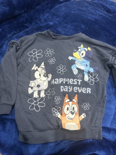 Asda george bluey jumper - bluey, size