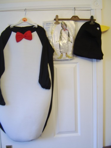 Christmas penguin dressing up - ,