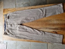 Cream Hy Equestrian Horse