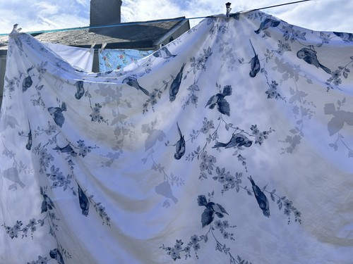 Cath kidston blue swallows - cath,
