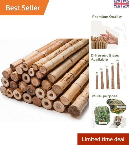 Durable bamboo support canes - support,