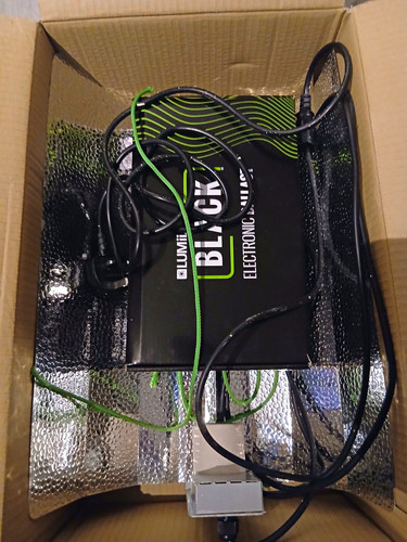 Lumii 600w black - black, electronic