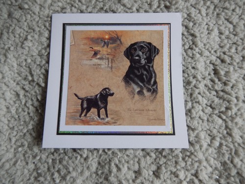 Black labrador retriever dog - black,