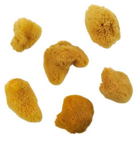 Artist ocean silk - silk, sponge