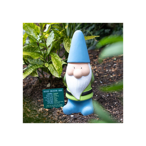 Funny gnome weather - weather, forecast