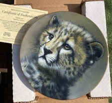 Princeton Gallery Cubs of the