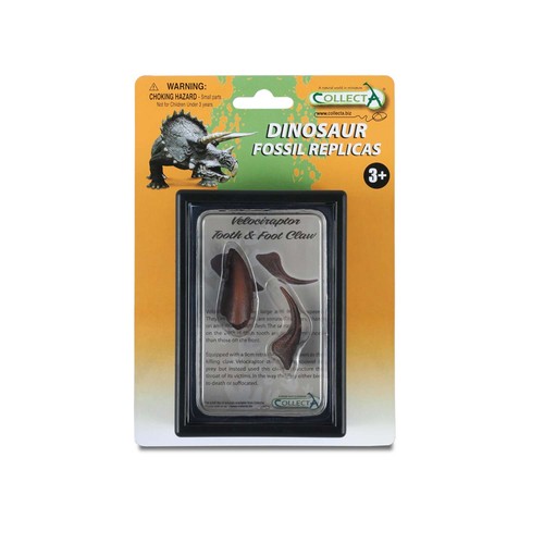 Collecta tooth and - tooth, claw