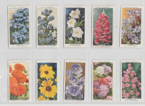 Garden flowers sudell - flowers, by