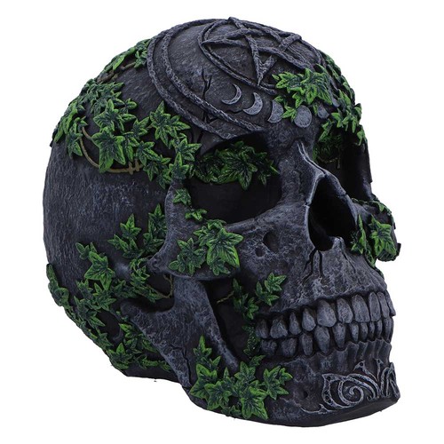 Pentagram ivy skull ornament - ivy,