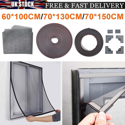 Window fly screen insect - screen,