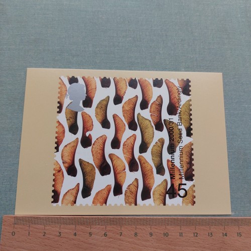Vintage postcard tree - and, leaf