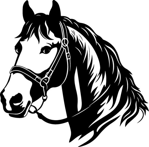 Horse head car trailer box - horse,