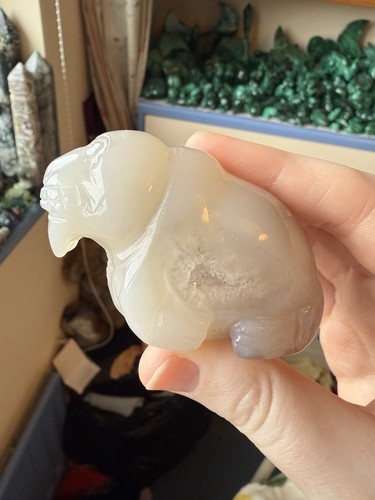 Druzy agate walrus crystal - agate,