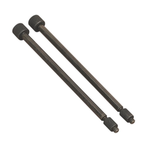 Sealey door hinge removal pins - door,