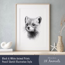 Black & White Wild Animal