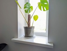 PVC UPVC 9mm Window Cill 2 Metre Board Fascia | White | Black | Grey | Rosewood