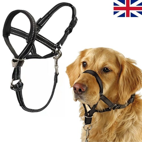 Halti headcollar non pull dog - headcollar,