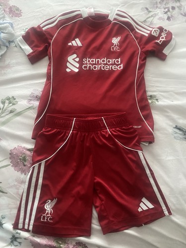 Kids liverpool kit - liverpool,
