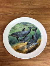 Duchy Direct Endangered Species Bottle Nosed Dolphin Collectors Plate 