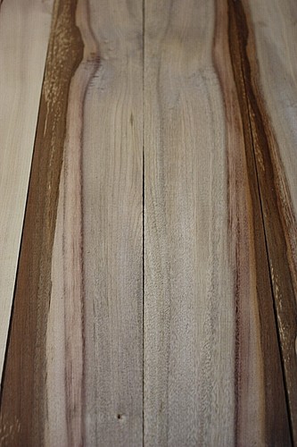 Oregon myrtle guitar - oregon,