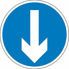 Road traffic directional