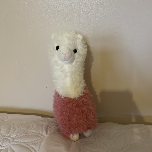 Jing guang alpaca llama lama - alpaca,