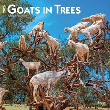 Goats In Trees Calendar 2026 -