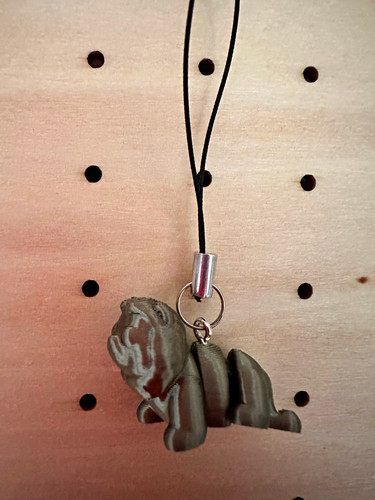 Grey lion animal phone - lion,