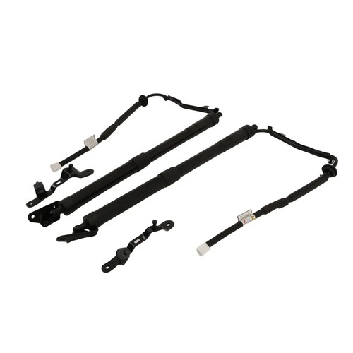Electric tailgate gas struts - gas,