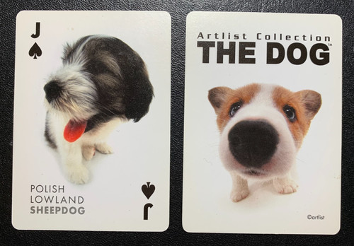 Swap playing card polish - ,