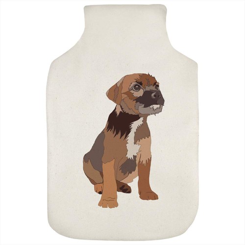 Border terrier puppy - 'border, hot