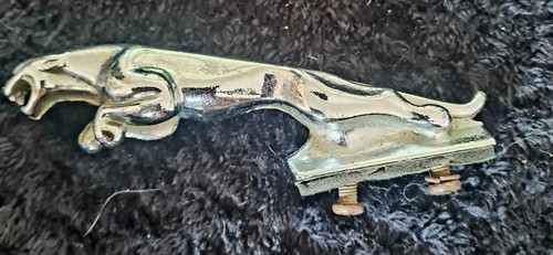 Vintage leaping jaguar car - jaguar,